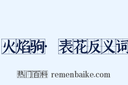 火焰驹·表花反义词是什么意思的图片